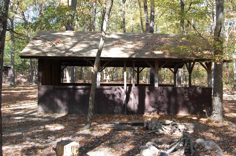 Rustic Scout shelter at Camp Aquapaug surrounded by trees in a forest setting.