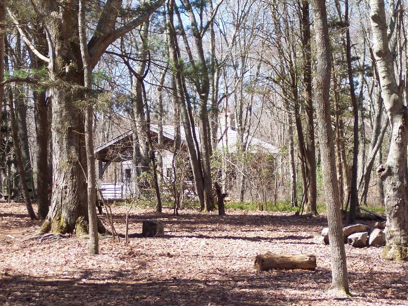 Wooded area at Camp Aquapaug with trees and a rustic cabin in the background.