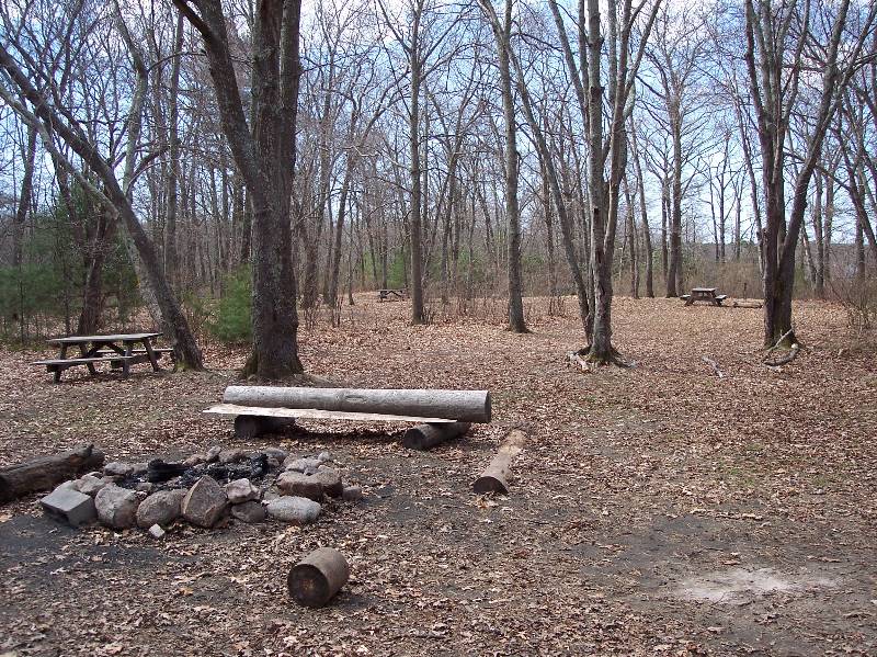 Outdoor camping scene at Camp Aquapaug with picnic tables and fire pit in a forest setting.
