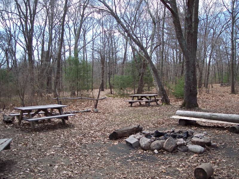 Campfire site with benches and fire pit at Camp Aquapaug, Narragansett Council.