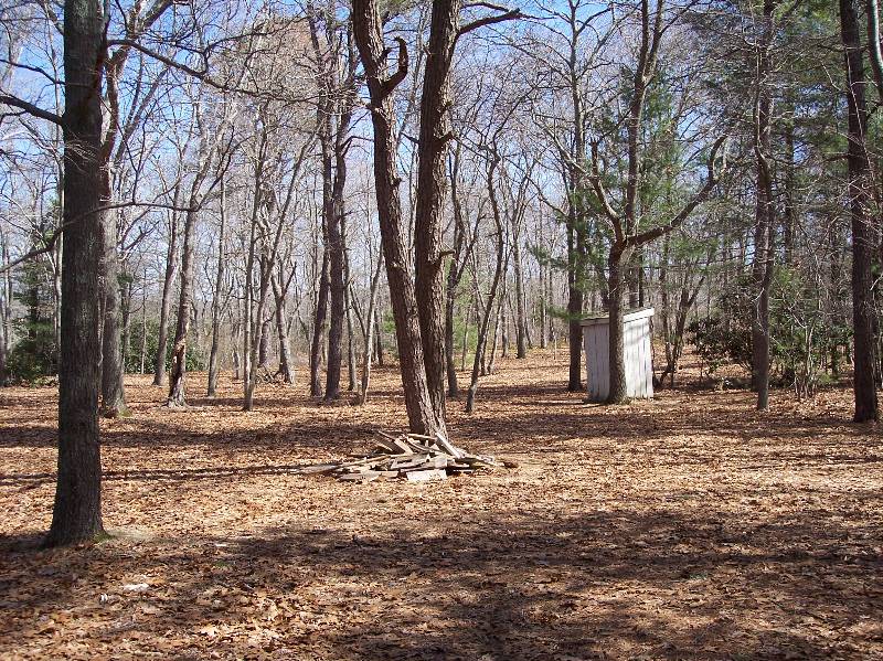Wooded area at Camp Aquapaug with trees and a small shed in the background.