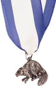 Boy receiving council awards medal at recognition event.