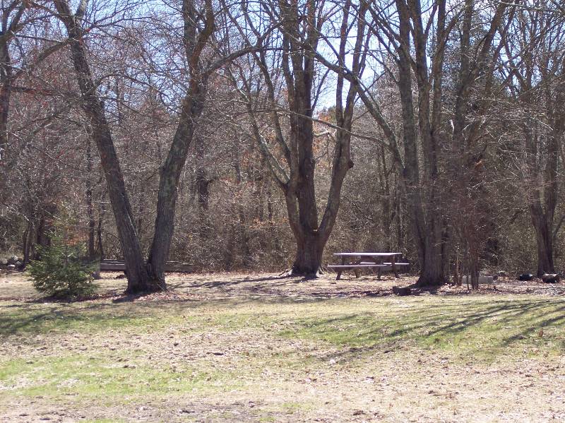 Wooded area at Camp Aquapaug with picnic table and leafless trees in early spring.